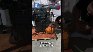 D924 Diesel Engine Assembly | Compact Industrial Engine for Construction Machinery